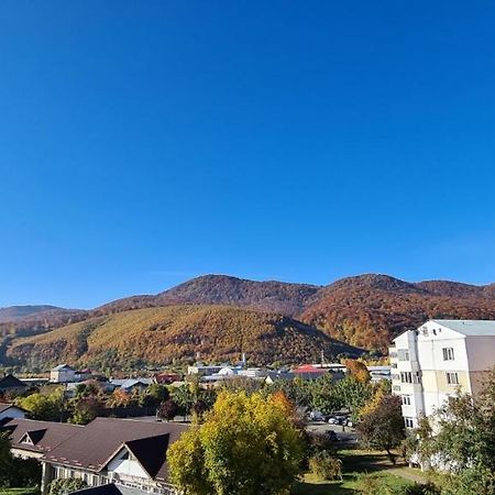 Piatra NeamţCasa Suzanaアパートメント エクステリア 写真