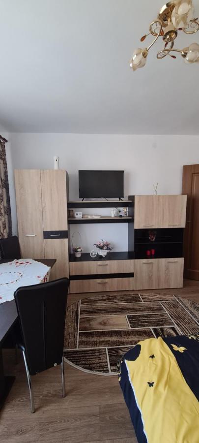 Piatra NeamţCasa Suzanaアパートメント エクステリア 写真